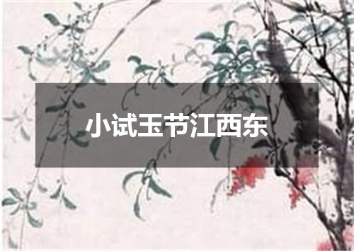 小试玉节江西东