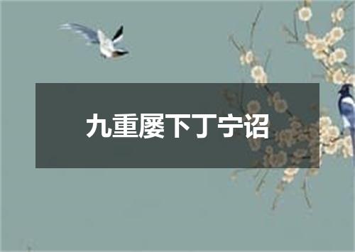 九重屡下丁宁诏