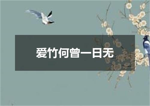 爱竹何曾一日无