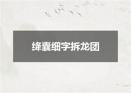 绛囊细字拆龙团