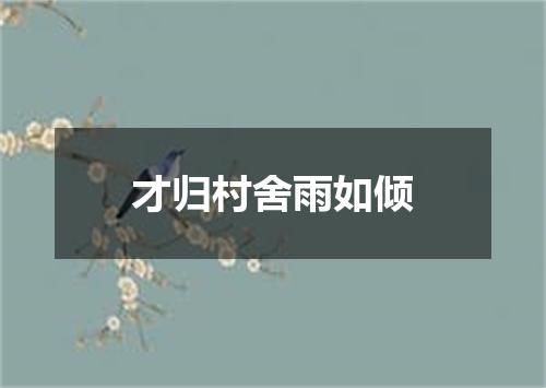 才归村舍雨如倾