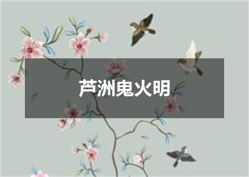 芦洲鬼火明