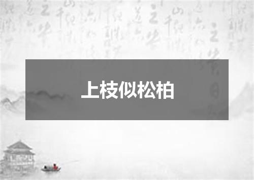 上枝似松柏