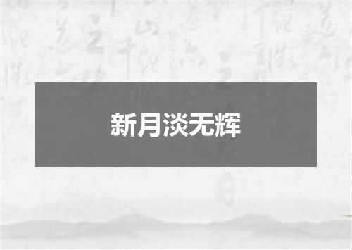 新月淡无辉