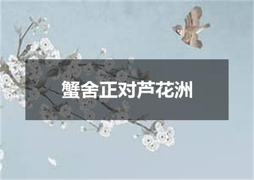 蟹舍正对芦花洲