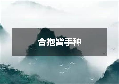 合抱皆手种