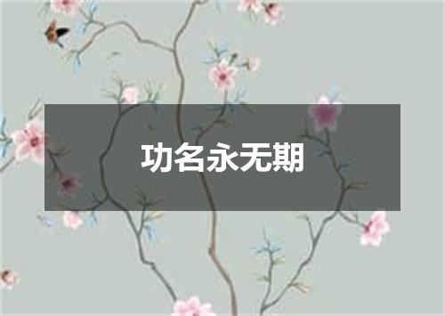 功名永无期