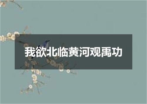 我欲北临黄河观禹功