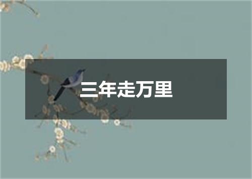 三年走万里