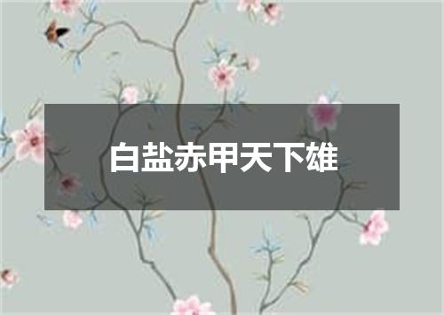 白盐赤甲天下雄