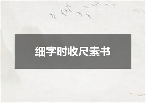 细字时收尺素书