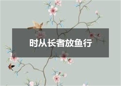 时从长者放鱼行