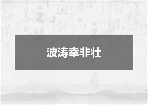 波涛幸非壮