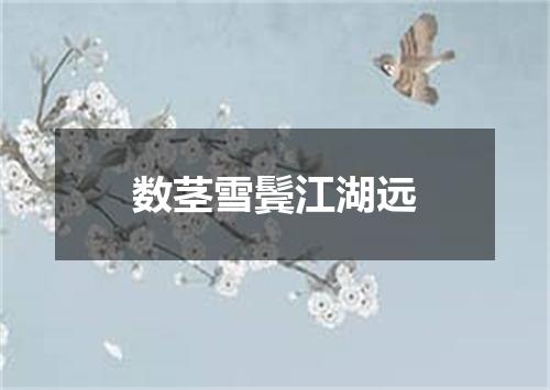 数茎雪鬓江湖远