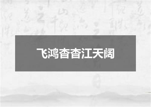 飞鸿杳杳江天阔