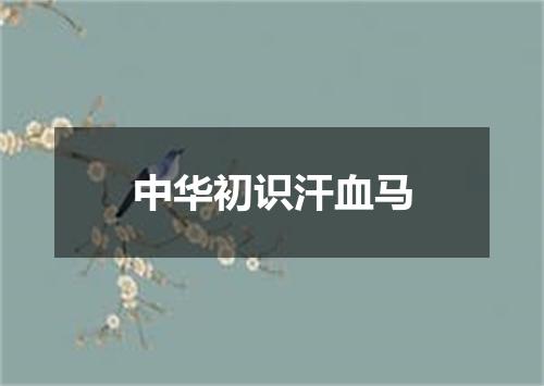 中华初识汗血马