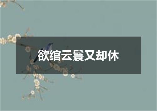 欲绾云鬟又却休