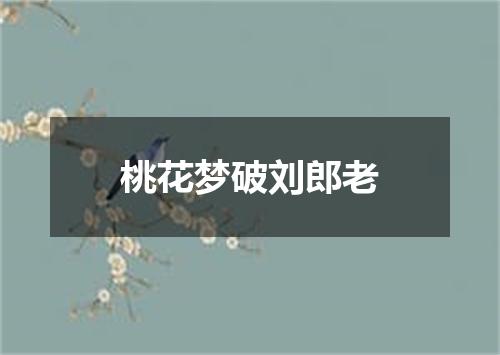 桃花梦破刘郎老