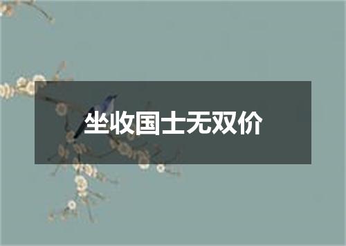 坐收国士无双价