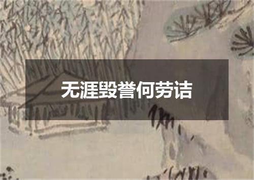 无涯毁誉何劳诘