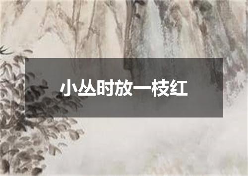 小丛时放一枝红