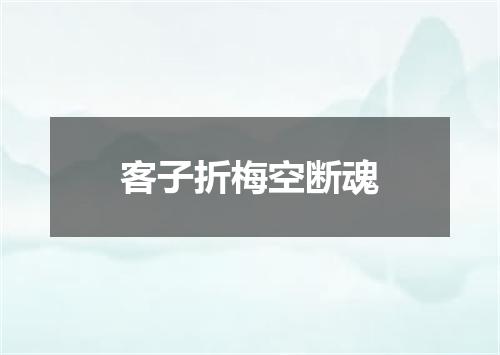 客子折梅空断魂