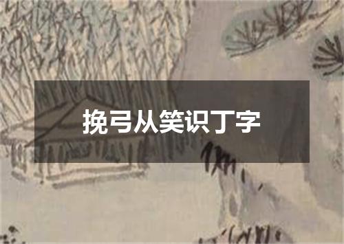 挽弓从笑识丁字