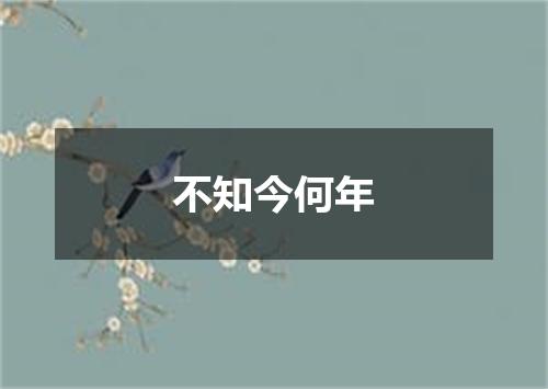 不知今何年