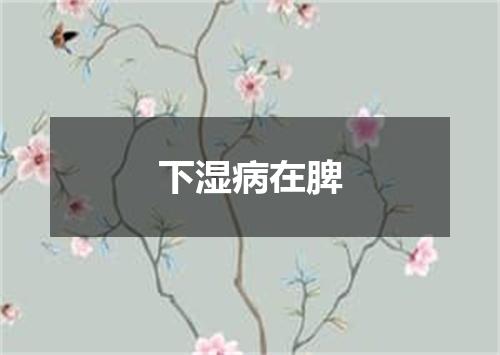 下湿病在脾