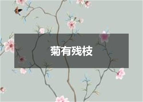 菊有残枝