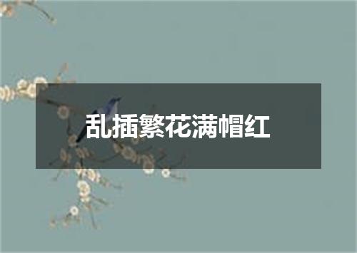 乱插繁花满帽红