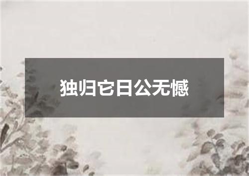 独归它日公无憾