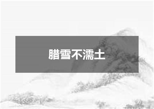 腊雪不濡土