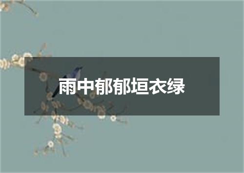 雨中郁郁垣衣绿