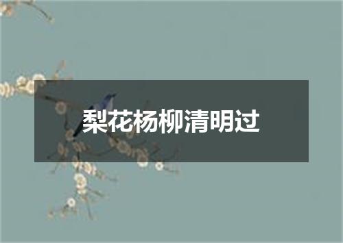 梨花杨柳清明过