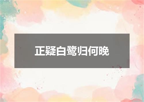 正疑白鹭归何晚