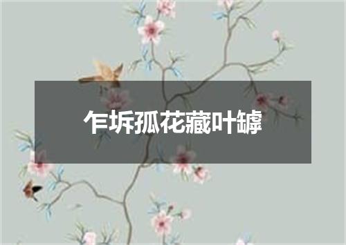 乍坼孤花藏叶罅