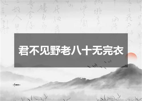 君不见野老八十无完衣