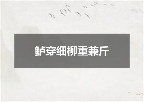 鲈穿细柳重兼斤