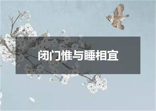 闭门惟与睡相宜