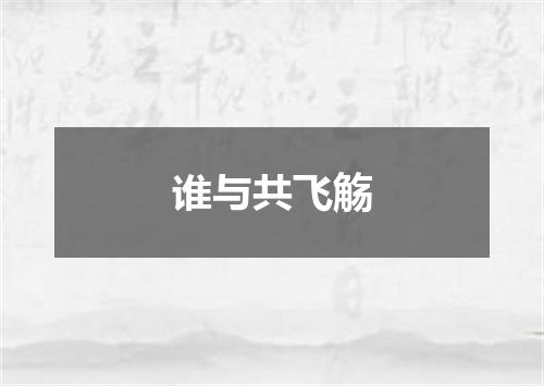 谁与共飞觞