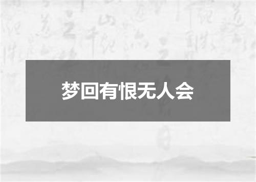 梦回有恨无人会