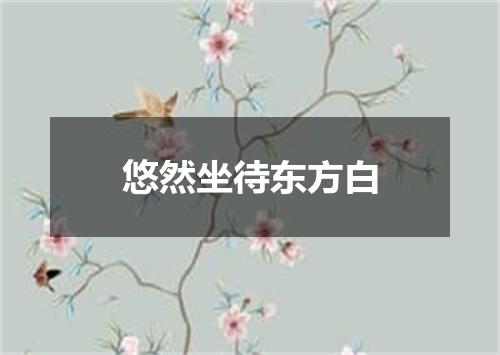 悠然坐待东方白