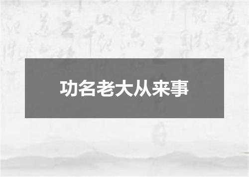 功名老大从来事