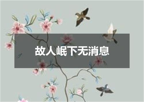 故人岷下无消息