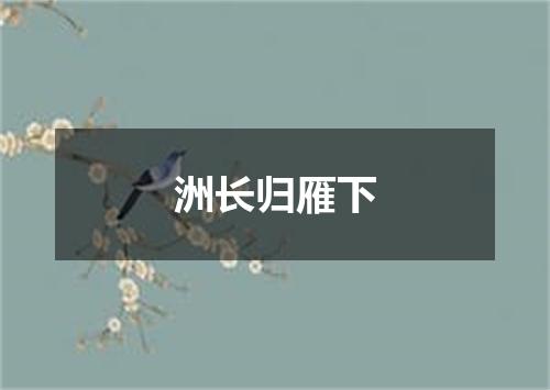 洲长归雁下