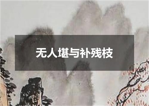 无人堪与补残枝