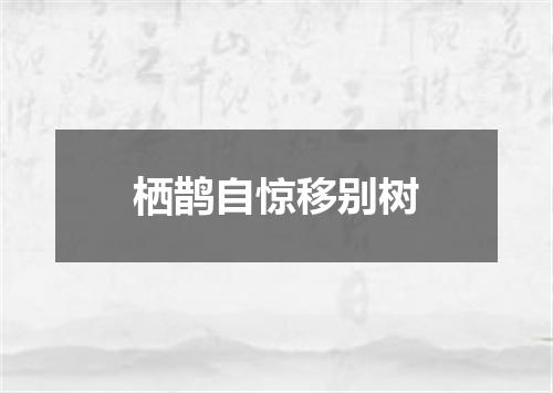 栖鹊自惊移别树