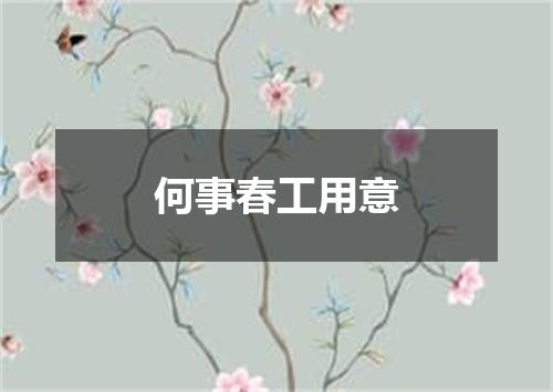 何事春工用意