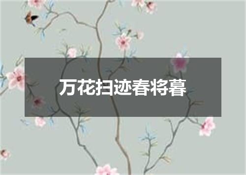 万花扫迹春将暮